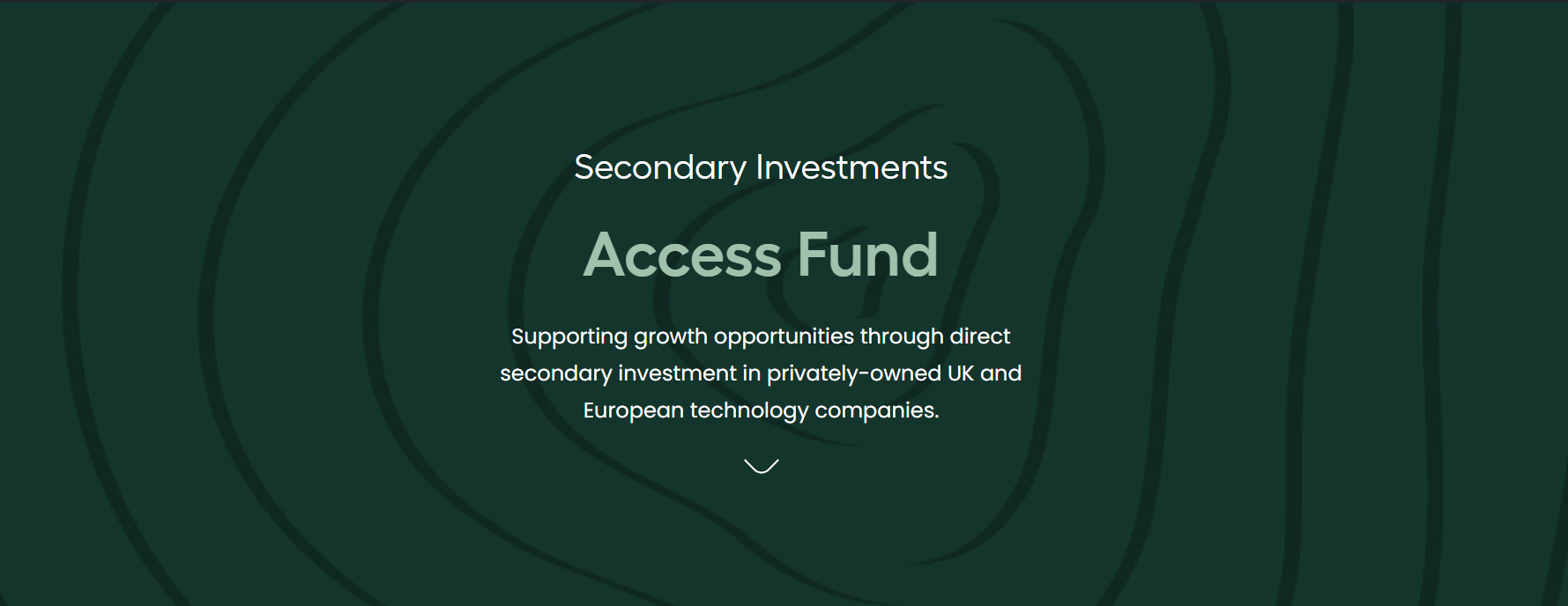 Secondary investments