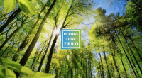 Zest completes first year of Pledge to Net Zero commitments