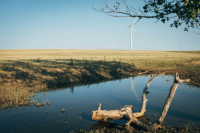 Qualitas Energy acquires 29 MW wind energy portfolio in Germany