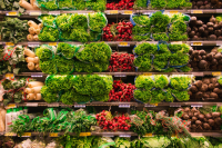 Bain Capital Agrees to Acquire Supermarket & Specialty Stores Businesses from Seven & i Holdings